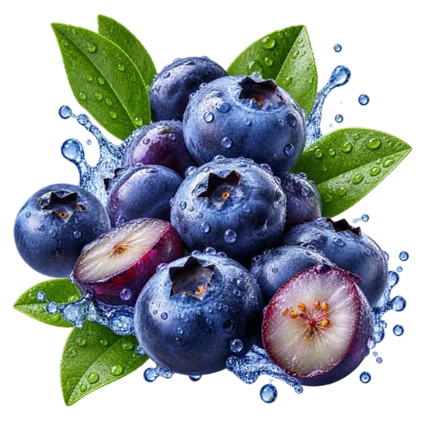 Blueberry