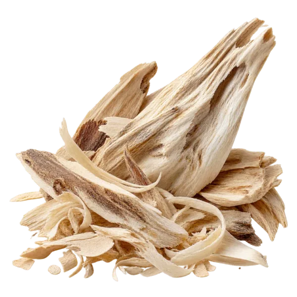 White Oud