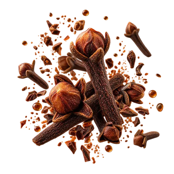 Clove